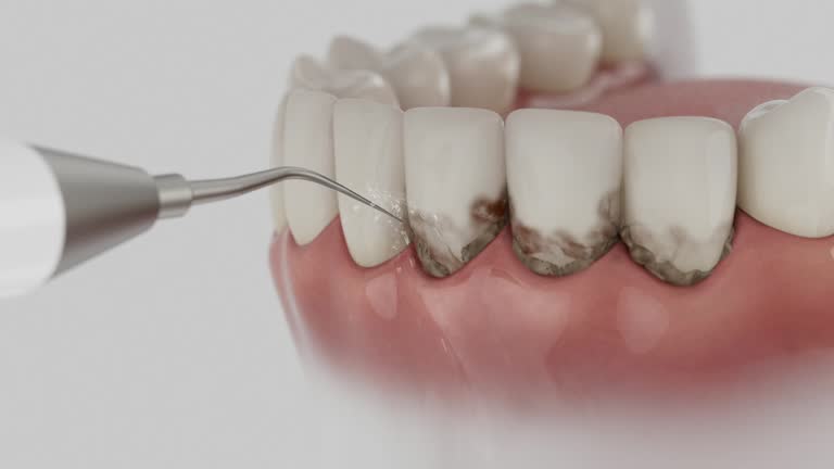Reliable Dental contractor in Georgetown, CO by Dentist Open Now